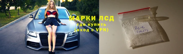 стаф Алексин