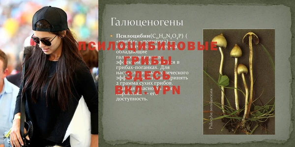 бошки Алзамай