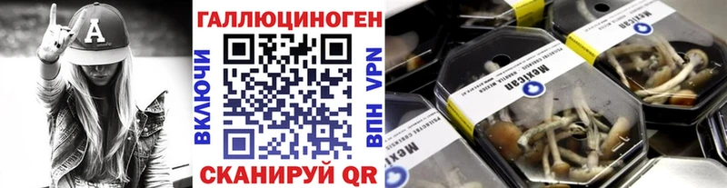 Псилоцибиновые грибы GOLDEN TEACHER  Баймак 